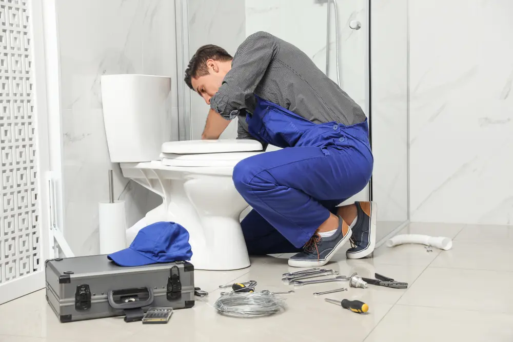 Toilet Installation in Mercedes